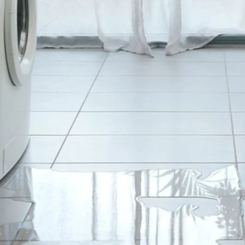 Appliance Leak Cleanup in Elgin, OR
